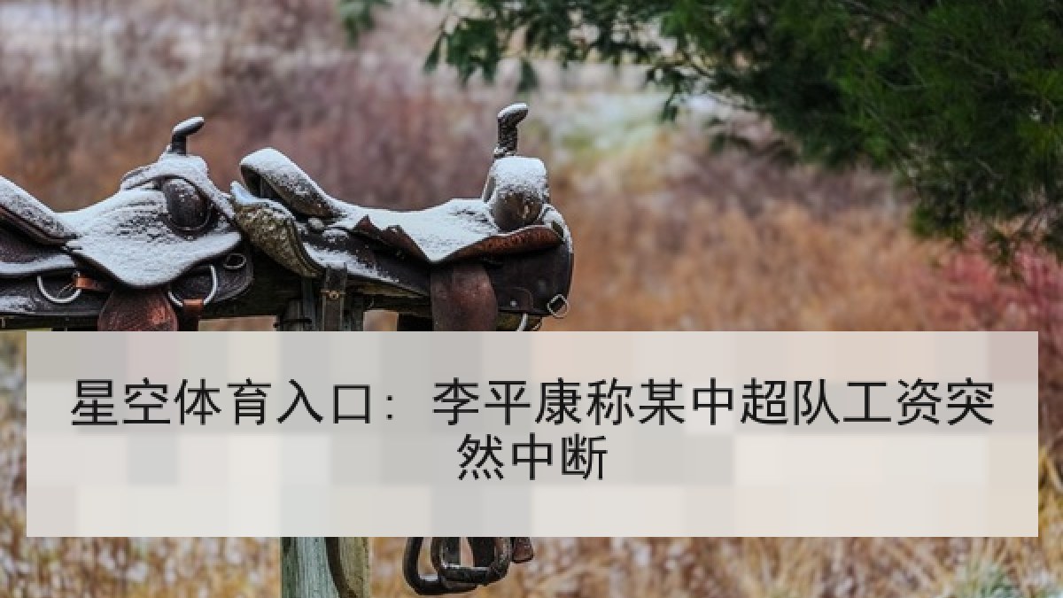 星空体育入口: 李平康称某中超队工资突然中断