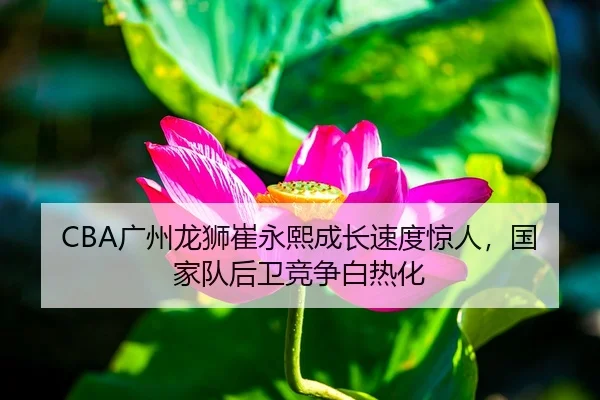 CBA广州龙狮崔永熙成长速度惊人，国家队后卫竞争白热化