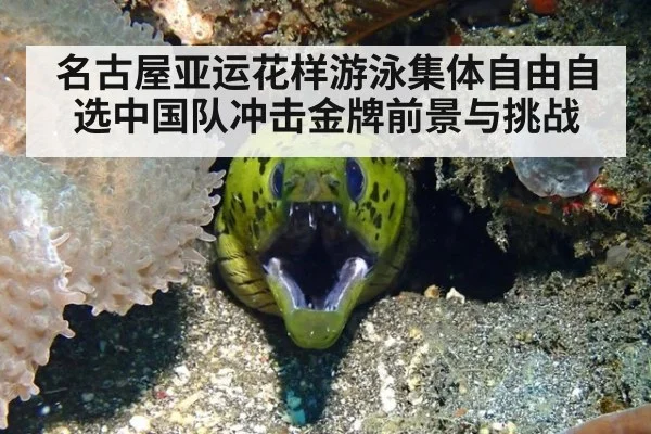 名古屋亚运花样游泳集体自由自选中国队冲击金牌前景与挑战